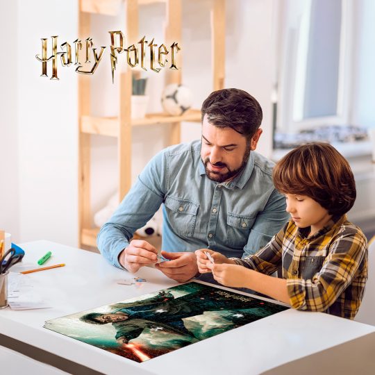 ROMPECABEZAS 3D 300 PZS HARRY POTTER - XtremePlay Colombia
