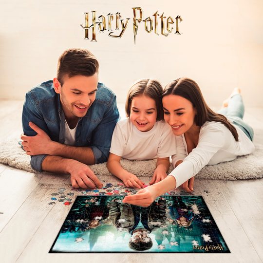 ROMPECABEZAS 3D 500 PZS HARRY POTTER HARRY, HERMIONE Y RON - XtremePlay Colombia