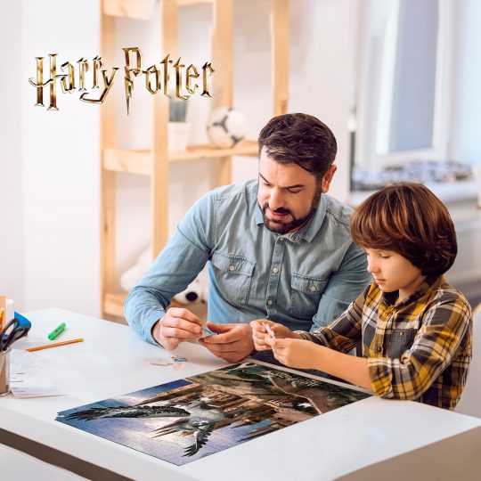 ROMPECABEZAS 3D 300 PZS HARRY POTTER BUCKBEAK EN LATA - XtremePlay Colombia